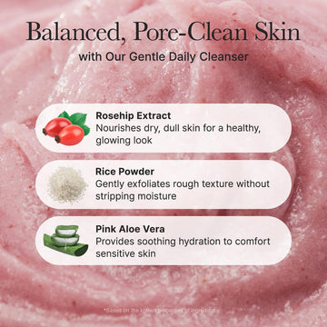 Arencia Rosehip Brightening Rice Mochi Face Cleanser 120g